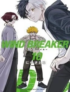Wind Breaker